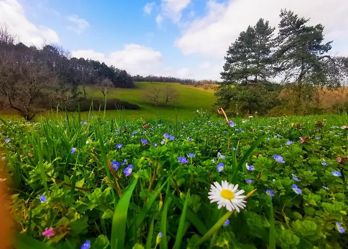 Les Combes Lascaux Casa de Férias